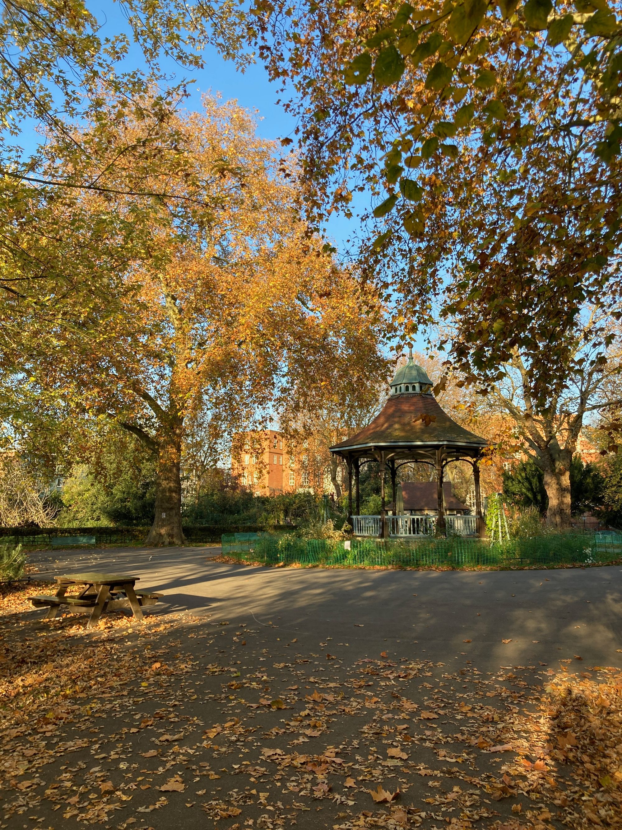 a bandstand surrounded by trees, autumn leaves are on the ground and some in the trees, the sky is blue