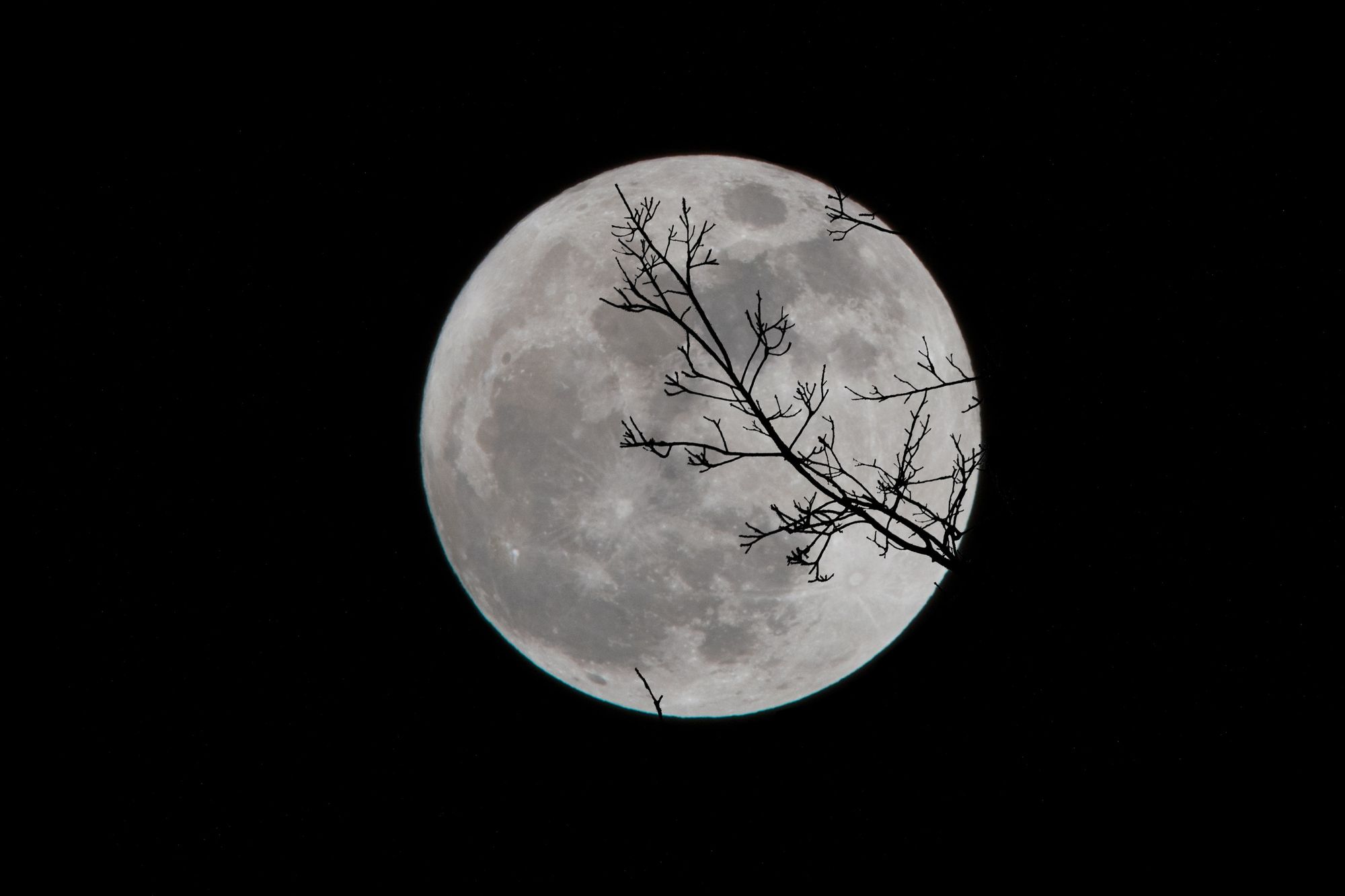 picture of the full moon