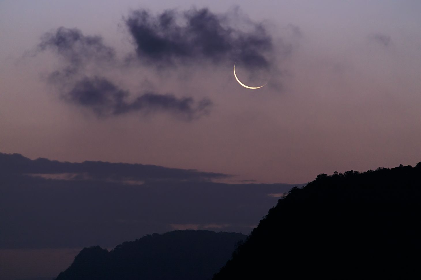 the new moon in a misty pinky sky over trees